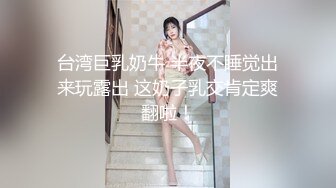 台湾巨乳奶牛 半夜不睡觉出来玩露出 这奶子乳交肯定爽翻啦！