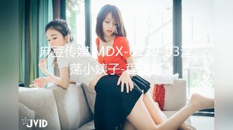 麻豆传媒 MDX-0239-03淫荡小姨子-程诗诗