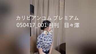 カリビアンコム プレミアム 050417_001 月刊　目々澤めぐ