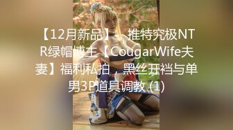 【12月新品】，推特究极NTR绿帽博主【CougarWife夫妻】福利私拍，黑丝开裆与单男3P道具调教 (1)