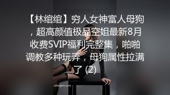 【林绾绾】穷人女神富人母狗，超高颜值极品空姐最新8月收费SVIP福利完整集，啪啪调教多种玩弄，母狗属性拉满了 (2)