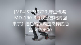 STP32280 星空无限传媒 XKQP35 勾引房东的骚货女租客 赖畇希