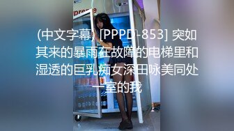 (中文字幕) [PPPD-853] 突如其来的暴雨在故障的电梯里和湿透的巨乳痴女深田咏美同处一室的我