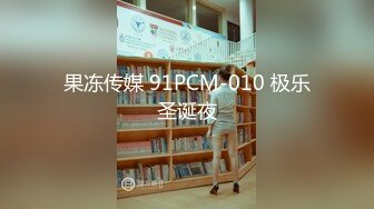 果冻传媒 91PCM-010 极乐圣诞夜