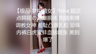 【极品 梦中情女】Yeha 超正点韩妞の劲爆胴体 狗链束缚调教女神 羞耻凸激乳粒 珍珠内裤白虎蜜蚌血脉喷张 美到爆了