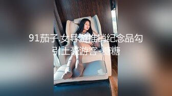 91茄子.女导游推销纪念品勾引土豪游客-糖糖