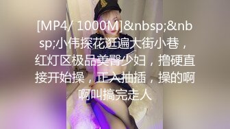 [MP4/ 1000M]&nbsp;&nbsp;小伟探花逛遍大街小巷，红灯区极品美臀少妇，撸硬直接开始操，正入抽插，操的啊啊叫搞完走人