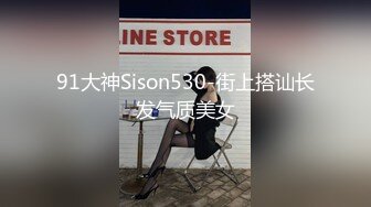 91大神Sison530-街上搭讪长发气质美女