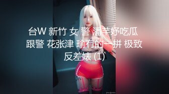 台W 新竹 女 警 潘芊妤吃瓜 跟警 花张津 瑜有的一拼 极致反差婊 (1)