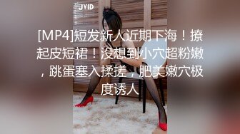 (中文字幕) [DVDMS-752] 一般男女ドキュメントAV 観光で来た台湾人のデカ尻女子大生に僕の部屋を民泊利用で貸し出したその日から帰国する直前まで生ハメで何度も精子を搾り取られた（多謝イ尓）