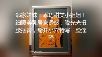 [MP4]台湾粉红兔10-14部 性奴嫩模女僕和大黑屌的粗暴性爱故事