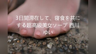 3日間滞在して、寝食を共にする超高級美女ソープ 西川ゆい