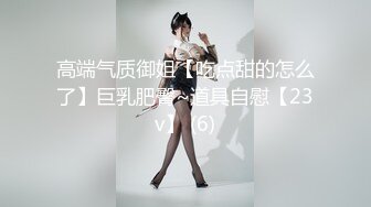 高端气质御姐【吃点甜的怎么了】巨乳肥臀~道具自慰【23v】 (6)