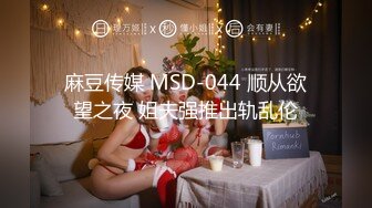 麻豆传媒 MSD-044 顺从欲望之夜 姐夫强推出轨乱伦