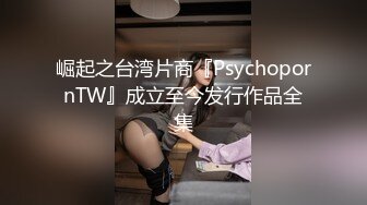 崛起之台湾片商『PsychopornTW』成立至今发行作品全集