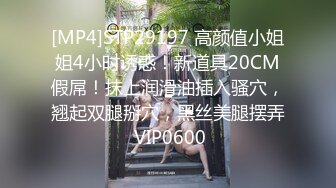 [MP4]STP29197 高颜值小姐姐4小时诱惑！新道具20CM假屌！抹上润滑油插入骚穴，翘起双腿掰穴，黑丝美腿摆弄 VIP0600