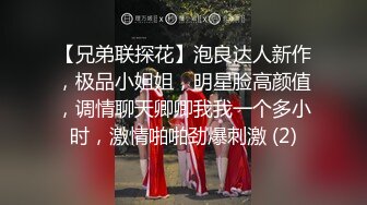 【兄弟联探花】泡良达人新作，极品小姐姐，明星脸高颜值，调情聊天卿卿我我一个多小时，激情啪啪劲爆刺激 (2)