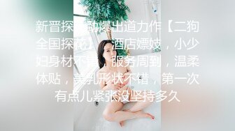 新晋探花劲爆出道力作【二狗全国探花】，酒店嫖妓，小少妇身材不错，服务周到，温柔体贴，美乳形状不错，第一次有点儿紧张没坚持多久