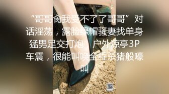 “哥哥肏我受不了了哥哥”对话淫荡，露脸绿帽骚妻找单身猛男足交打炮，户外凉亭3P车震，很能叫唤全程杀猪般嚎叫