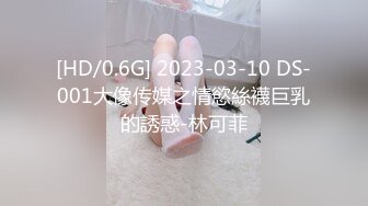 [HD/0.6G] 2023-03-10 DS-001大像传媒之情慾絲襪巨乳的誘惑-林可菲