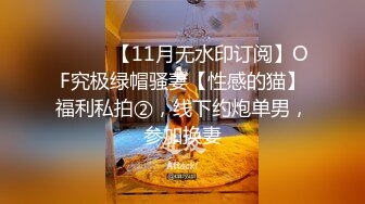 ⚫️⚫️【11月无水印订阅】OF究极绿帽骚妻【性感的猫】福利私拍②，线下约炮单男，参加换妻