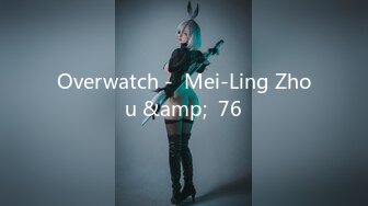 Overwatch -  Mei-Ling Zhou &amp;  76