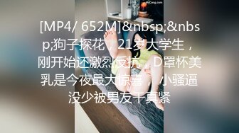 [MP4/ 652M]&nbsp;&nbsp;狗子探花，21岁大学生，刚开始还激烈反抗，D罩杯美乳是今夜最大惊喜， 小骚逼没少被男友干真紧