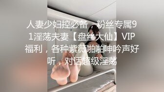 人妻少妇控必备，粉丝专属91淫荡夫妻【盘丝大仙】VIP福利，各种紫薇啪啪呻吟声好听，对话超级淫荡