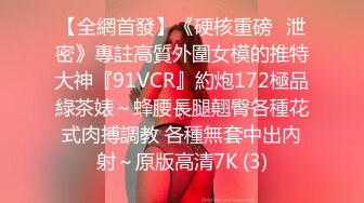 【全網首發】《硬核重磅☀泄密》專註高質外圍女模的推特大神『91VCR』約炮172極品綠茶婊～蜂腰長腿翹臀各種花式肉搏調教 各種無套中出內射～原版高清7K (3)