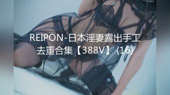 REIPON-日本淫妻露出手工去重合集【388V】 (16)