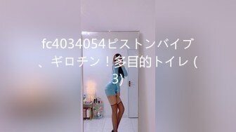 fc4034054ピストンバイブ、ギロチン！多目的トイレ (3)