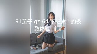 91茄子 qz-64 下班途中的极致体验-菲菲