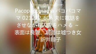 Pacopacomama パコパコママ 021222_606 夫に電話をさせながら人妻をハメる ～表面は良妻、裏面は嘘つき女～新井順子