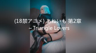 (18禁アニメ) あねいも 第2章 ～Triangle Lovers