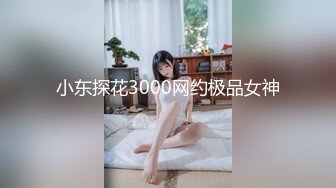 小东探花3000网约极品女神