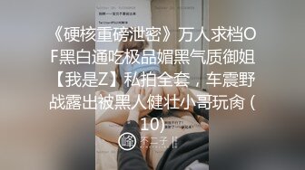 《硬核重磅泄密》万人求档OF黑白通吃极品媚黑气质御姐【我是Z】私拍全套，车震野战露出被黑人健壮小哥玩肏 (10)