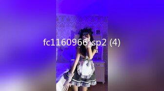 fc1160966_sp2 (4)