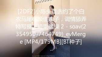 最新流出黑客⭐【破解家庭摄像头】偷拍夫妻啪啪5及单女单男外泄合集 (6)