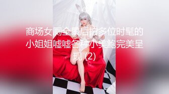 商场女厕全景后拍多位时髦的小姐姐嘘嘘各种小美鲍完美呈现 (2)