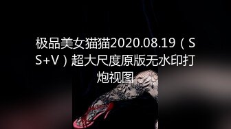 极品美女猫猫2020.08.19（SS+V）超大尺度原版无水印打炮视图