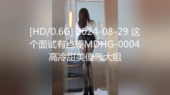 [HD/0.6G] 2024-08-29 这个面试有点硬MDHG-0004高冷甜美傻气大姐