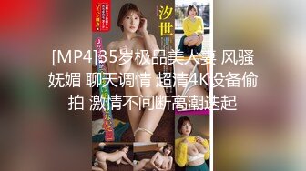 [MP4]35岁极品美人妻 风骚妩媚 聊天调情 超清4K设备偷拍 激情不间断高潮迭起