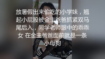 放暑假出来偷吃的小学妹，翘起小屁股被金主爸爸抓紧双马尾后入，同学老师眼中的乖乖女 在金主爸爸面前就是一条小母狗