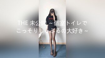 THE 未公開 ～個室トイレでこっそりしゃぶるの大好き～