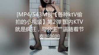 [MP4/543MB]【各种ktV偷拍的小视频】第2弹 国内KTV就是疯狂，与公主艹逼随着节奏啪啪啪