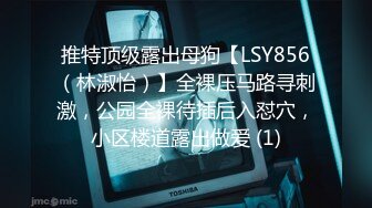 推特顶级露出母狗【LSY856（林淑怡）】全裸压马路寻刺激，公园全裸待插后入怼穴，小区楼道露出做爱 (1)