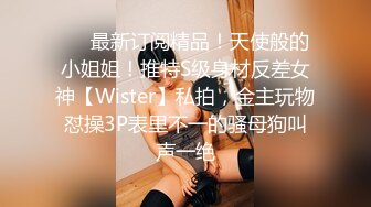 ❤️最新订阅精品！天使般的小姐姐！推特S级身材反差女神【Wister】私拍，金主玩物怼操3P表里不一的骚母狗叫声一绝