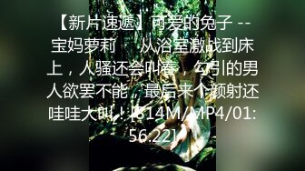 π060电车痴汉_不，这是电车美妇