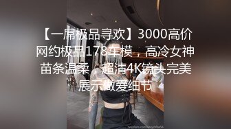 【一屌极品寻欢】3000高价网约极品178车模，高冷女神苗条温柔，超清4K镜头完美展示做爱细节