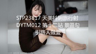 STP23817 天美抖阴旅行射 DYTM012 第十二站 景區勾引路人做愛